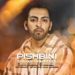 دانلود آهنگ شهاب قهرودی پیش بینی